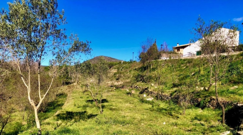Castellón - Caudiel - 600m2