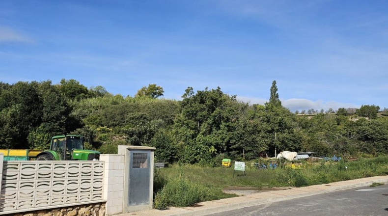 Castellon - Viver - 82841m2