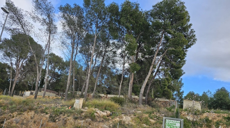 Castellón - Soneja - 487m2