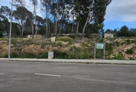 Foto 7