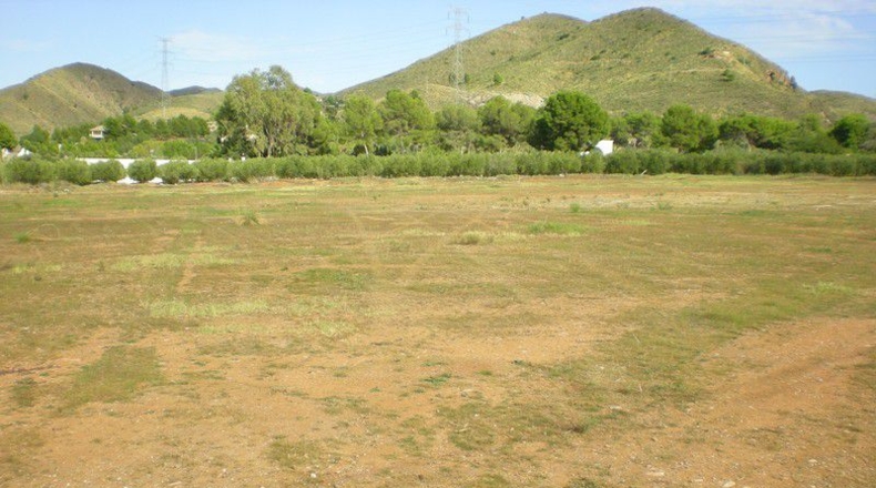 Murcia - Murcia - 5000m2