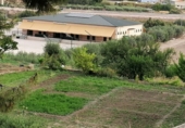 Земля на продажу у города Lorca Фото