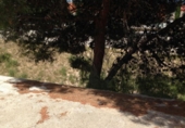 Casa de pueblo en venta en la España, Lorca, ref: TR93320 foto