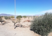 Chalet independiente con terreno en venta en Lorca ref: TR34090 foto