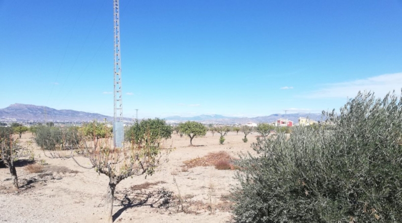 Murcia - Lorca - 14950m2
