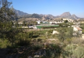Terreno no urbanizable en venta en Abarán ref: TR50938 foto