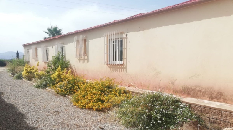 Murcia - Altobordo - 6500m2
