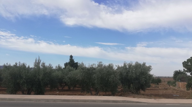 Murcia - Campo López - 500m2