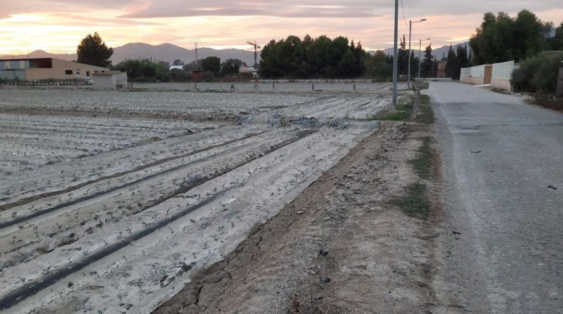 Murcia - Altobordo - 5100m2