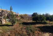 Дом с участком на продажу в городе Lorca. Фото
