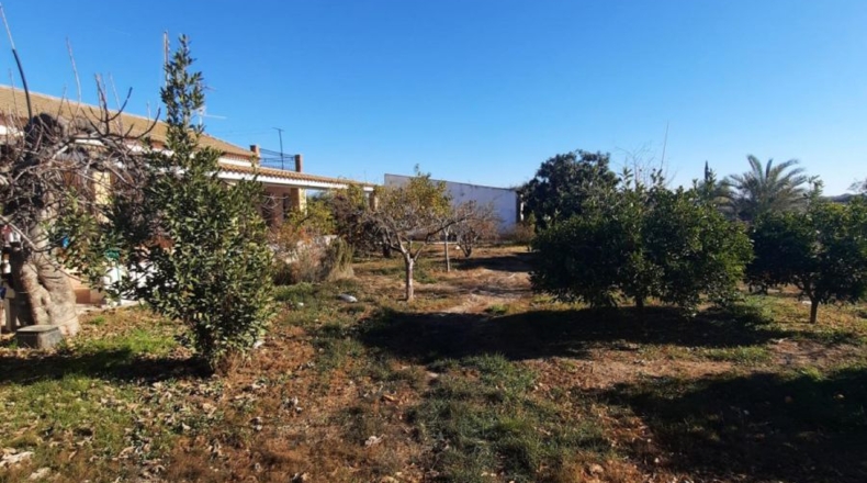 Murcia - Casas de Peña - 100m2