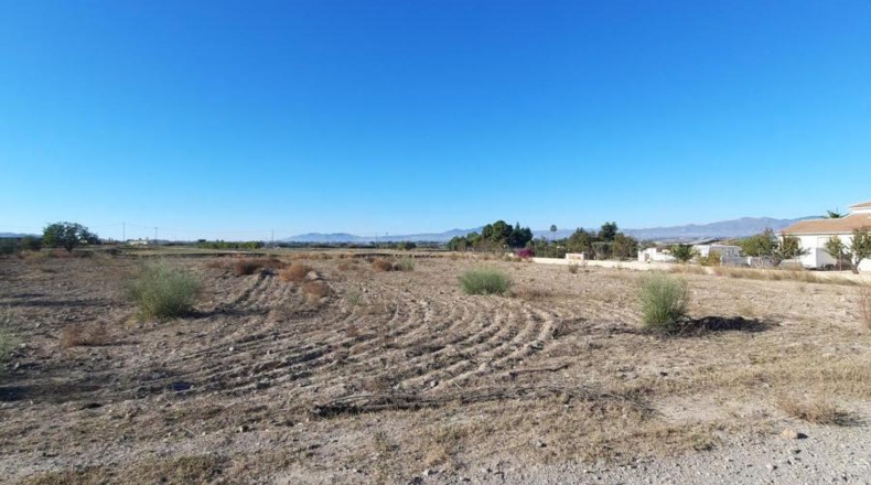 Múrcia - Plantones de Mata - 5000m2