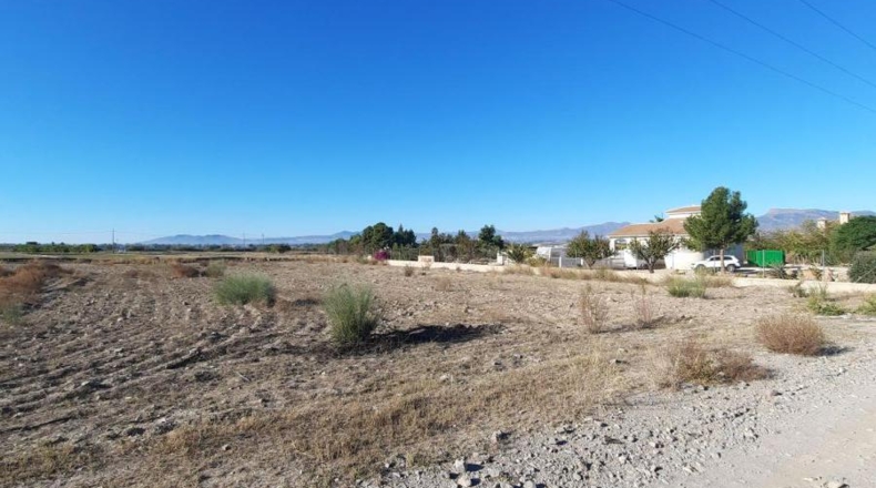 Múrcia - Plantones de Mata - 5000m2