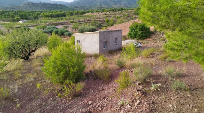 Murcia - Totana - 4950m2