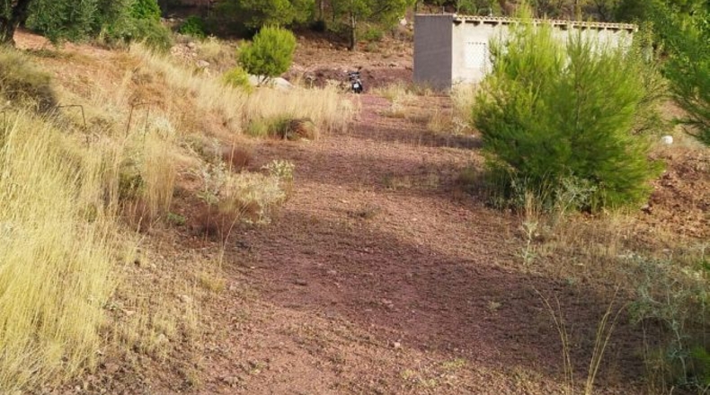 Murcia - Totana - 4950m2