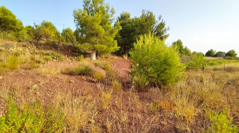 Murcia - Totana - 4950m2