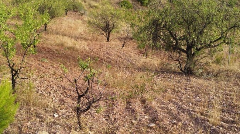 Murcia - Totana - 4950m2