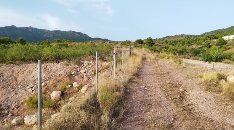 Murcia - Totana - 4950m2