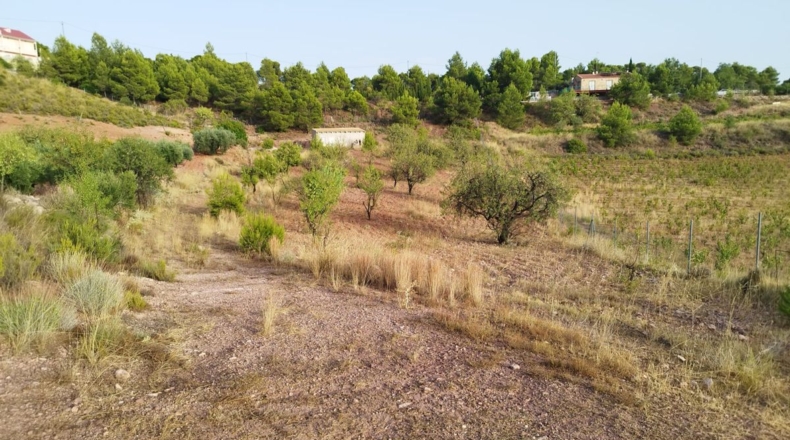 Murcia - Totana - 4950m2
