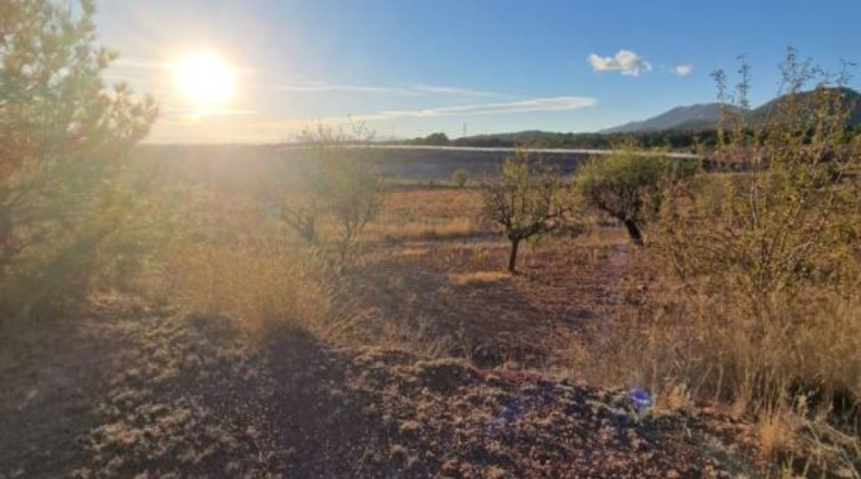 Murcia - Totana - 4950m2