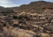 Rural estate for sale on España, Lorca, ref: TR104795 photo