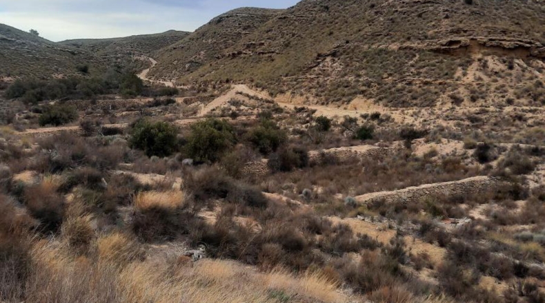 Murcia - Lorca - 900m2