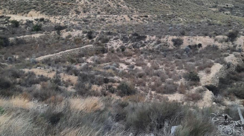 Murcia - Lorca - 900m2