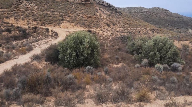 Murcia - Lorca - 900m2