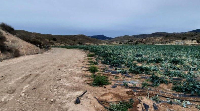 Murcia - Los Cautivos - 600000m2