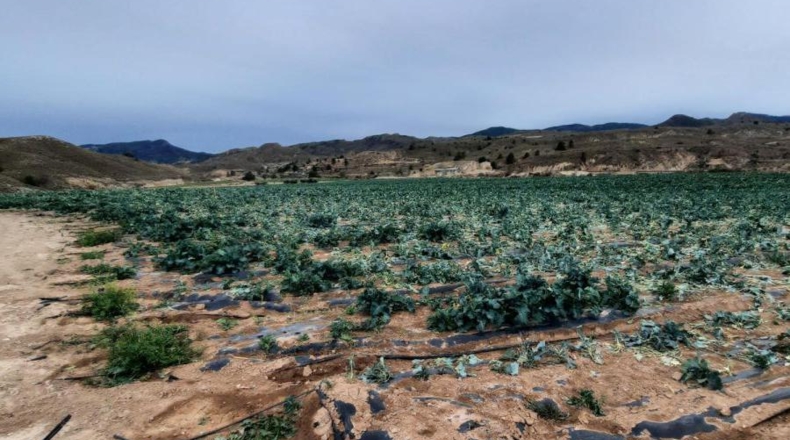 Murcia - Los Cautivos - 600000m2