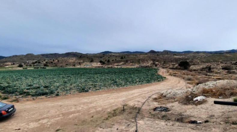 Murcia - Los Cautivos - 600000m2