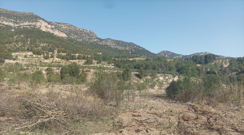 Murcia - Lorca - 600000m2