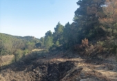 Земля на продажу у города Lorca Фото
