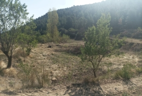 Lorca 60000&nbsp;м²