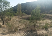 Земля на продажу у города Lorca Фото
