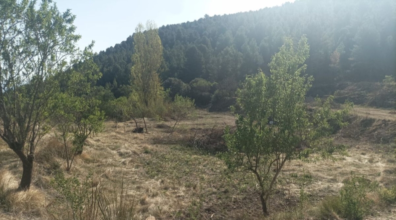 Murcia - Lorca - 600000m2