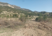 Земля на продажу у города Lorca Фото