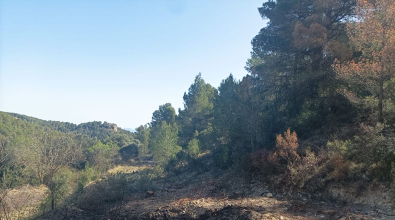 Murcia - Lorca - 5000m2