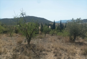 Lorca 5000&nbsp;m²