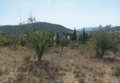 Terreno no urbanizable en venta en la España, Lorca, ref: TR106100 foto
