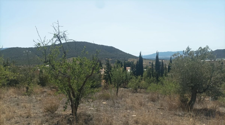 Murcia - Lorca - 5000m2