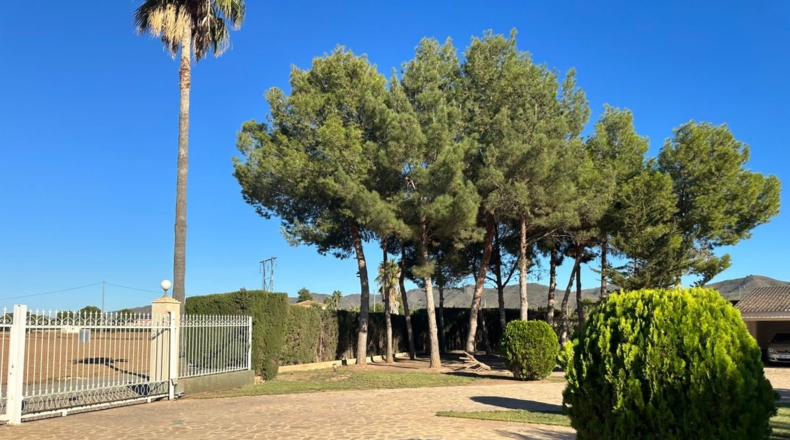 Múrcia - Lorca - 8900m2