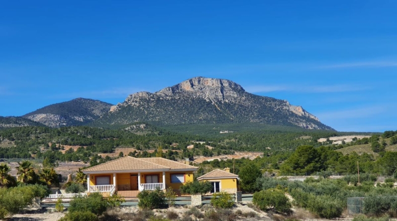 Murcia - Lorca - 20000m2