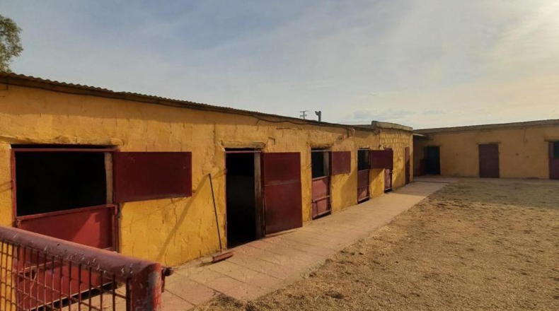Almería - Huércal-Overa - 60000m2