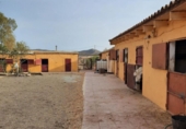 Terreny no urbanitzable en lloguer a Huércal-Overa ref.: TR285386 foto