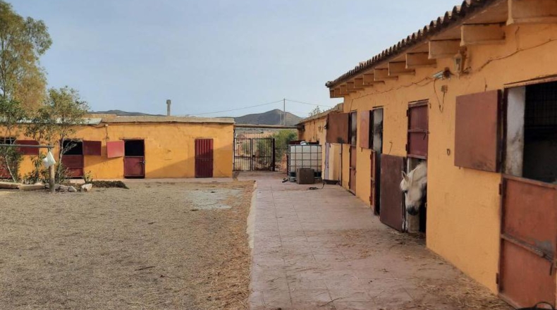Almería - Huércal-Overa - 60000m2