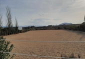 Terreny no urbanitzable en lloguer a Huércal-Overa ref.: TR285386 foto