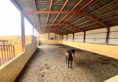 Terreny no urbanitzable en lloguer a Huércal-Overa ref.: TR285386 foto