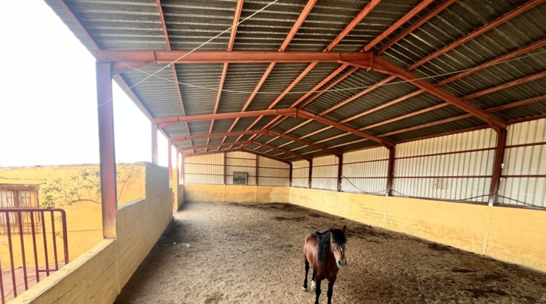 Almería - Huércal-Overa - 60000m2