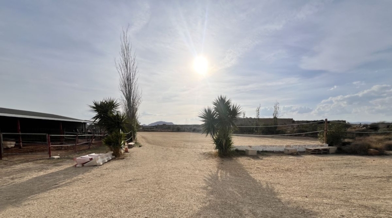 Almería - Huércal-Overa - 60000m2